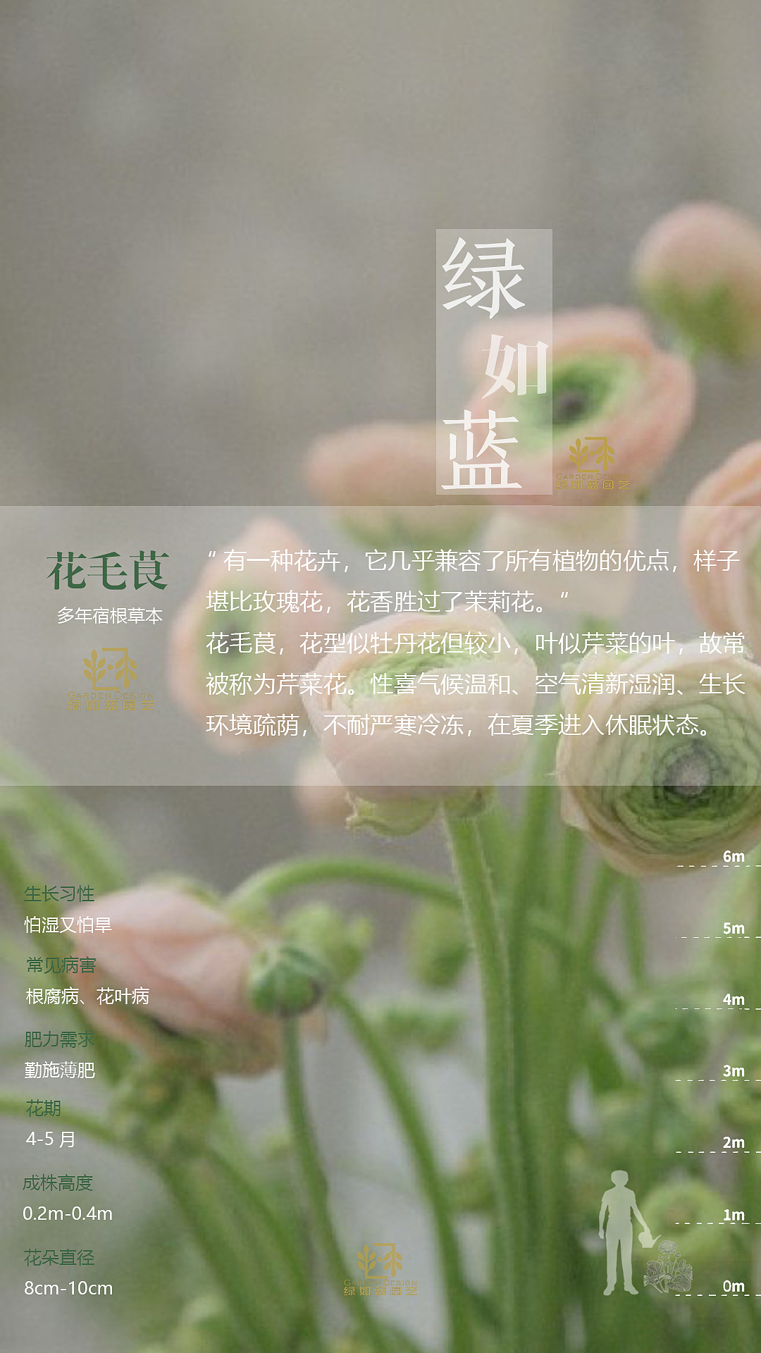 绿如蓝植物拓展