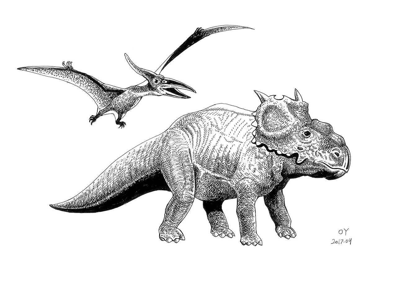 OY手绘:一天一画2017