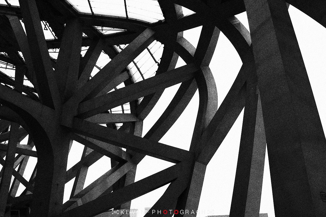 摄影 | 回顾2017,镜头定格的那些精彩瞬间