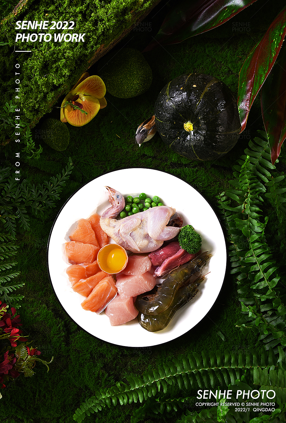 森和视觉 | 全价幼猫粮拍摄（图ZMjg5NTg0MzEy） - 产品摄影 - 站酷设计师森和视觉摄影原创素材 - 站酷ZCOOL