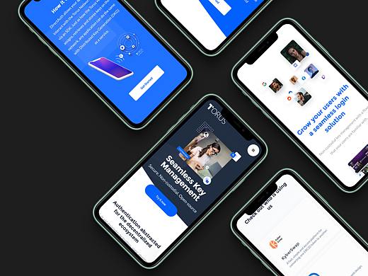 New websites for Torus Labs