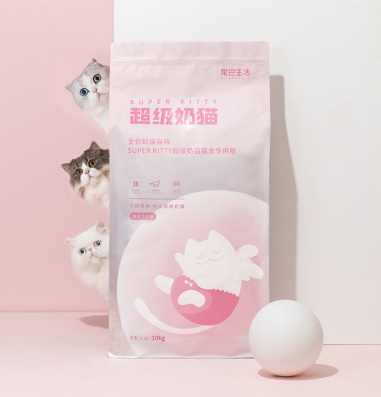 超级奶猫 | 猫粮拍摄