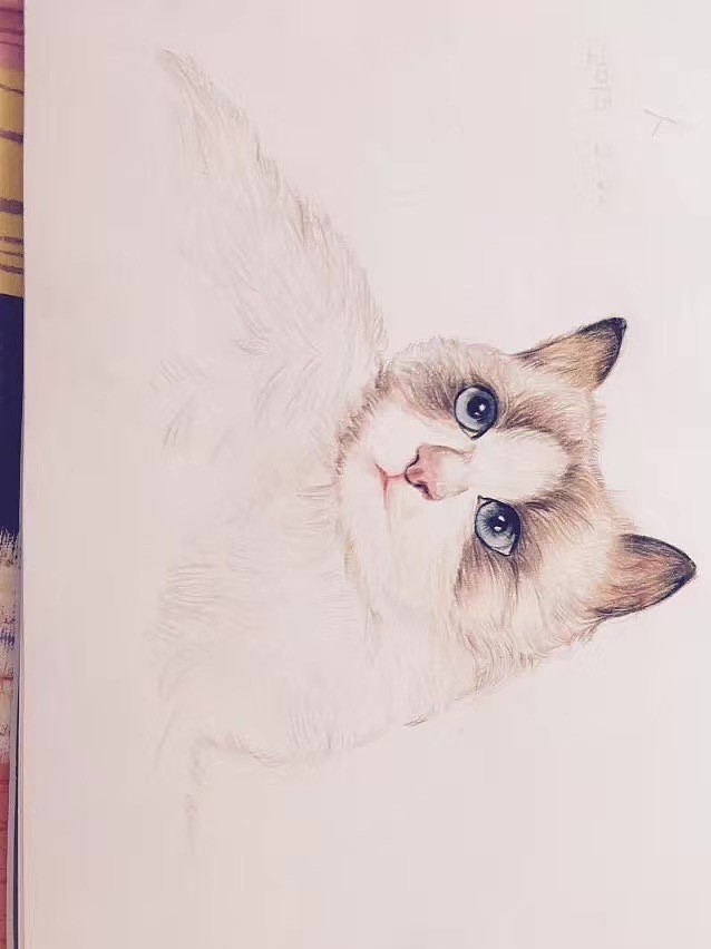 这些年的随手画