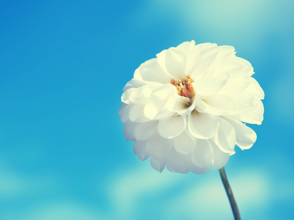 夏日游客的個人主頁（封面預覽） - 主頁封面設置 - 站酷設計師夏日游客原創(chuàng)素材 - 站酷ZCOOL