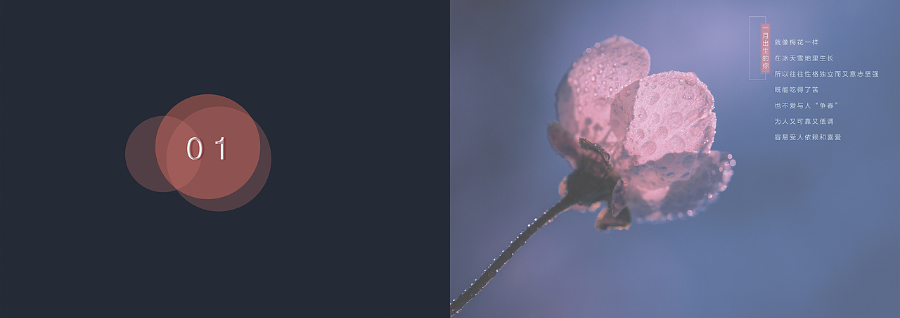 纪念（图ZMTI5MjE1MTI4） - 书籍/画册 - 站酷设计师三木C原创素材 - 站酷ZCOOL