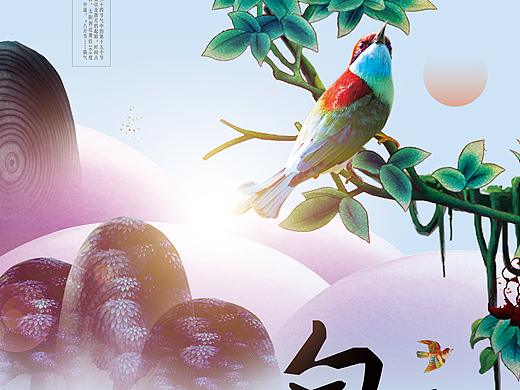 白露