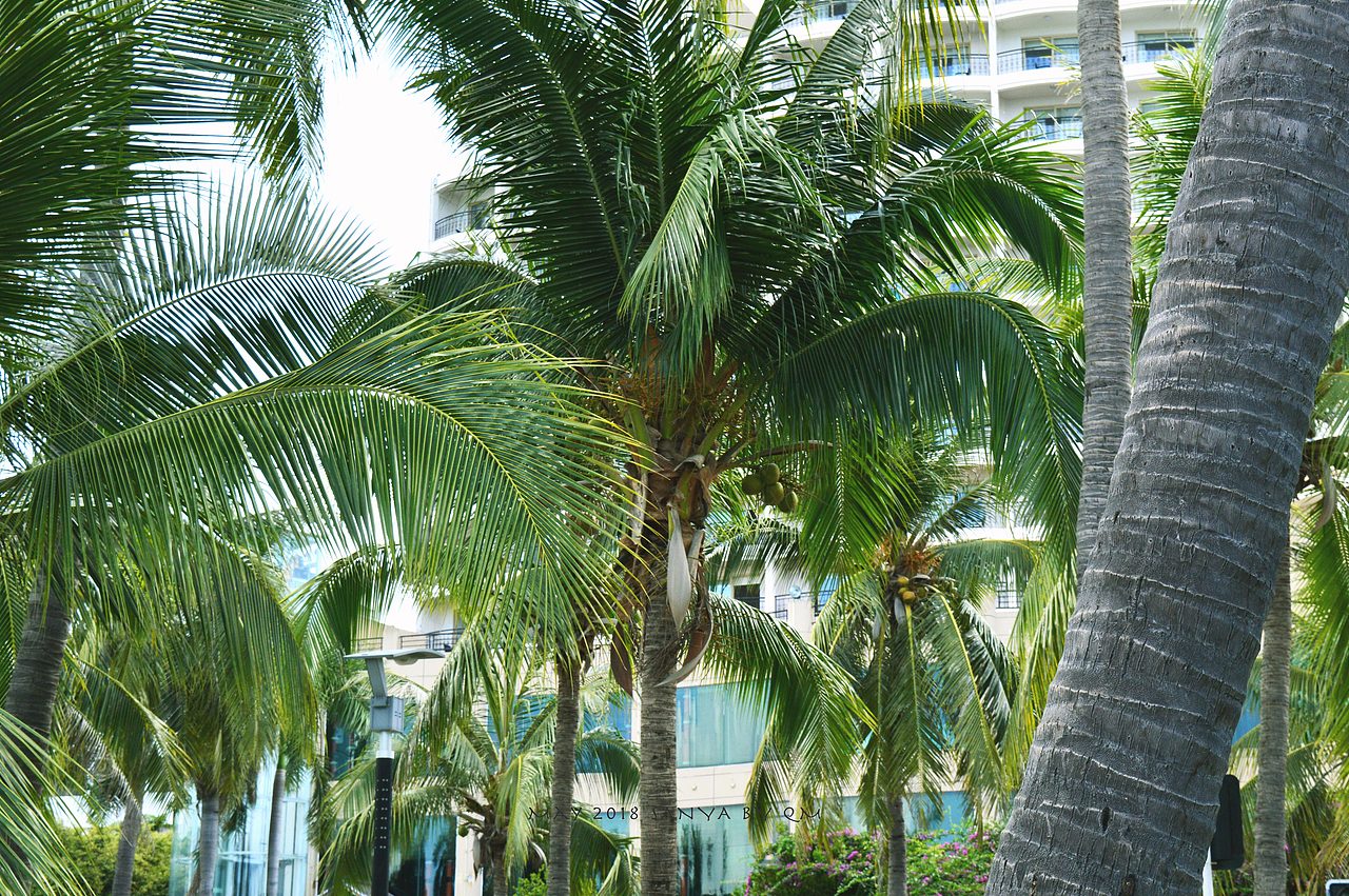 May&SanYa（01）（图ZMTM3MTY2NTAw） - 风光摄影 - 站酷设计师pugoyn原创素材 - 站酷ZCOOL