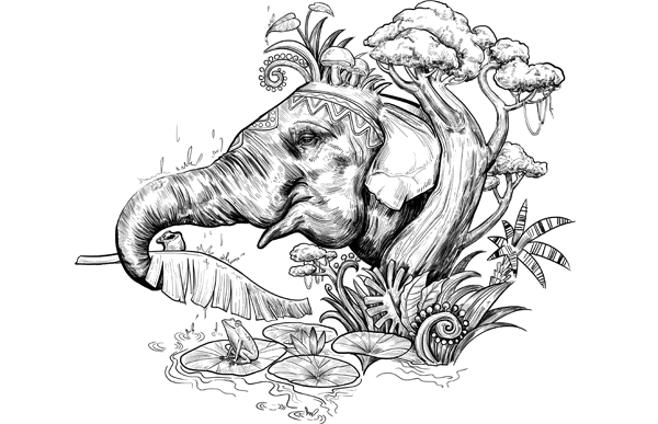 在荷塘边,我们和万灵一起
静静的聆听着细雨用尽全力张罗的那一场响彻天地的夜曲