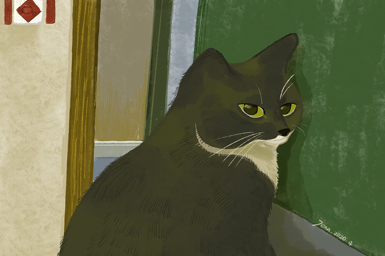 身边的猫猫（图ZMjY0OTIyNzI0） - 创作习作 - 站酷设计师一只怪鸡Jena原创素材 - 站酷ZCOOL
