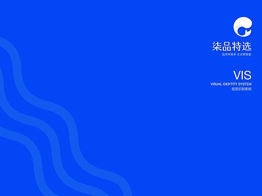 公司vis基础应用基础部分