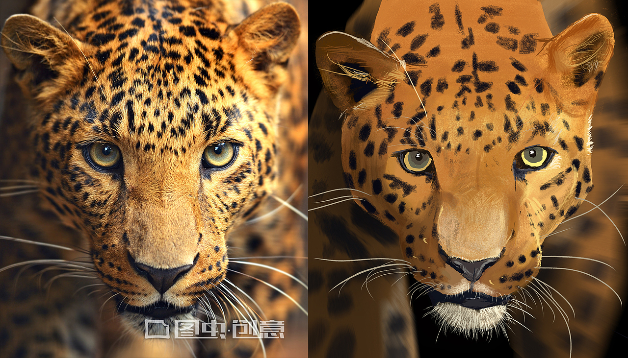 插画练习-豹（图ZMTgzOTUzMDg4） - 创作习作 - 站酷设计师西黛伯伯原创素材 - 站酷ZCOOL