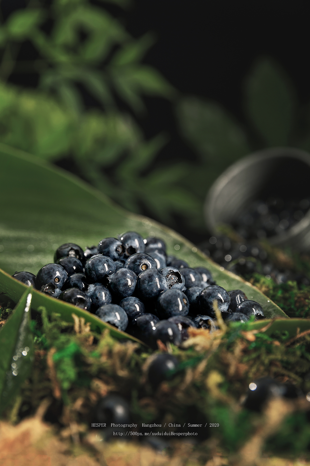 蓝莓|摄影|产品摄影|hesperr_原创作品-站酷zcool
