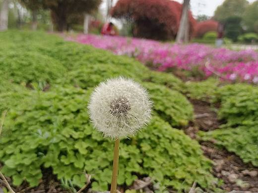 误入歧途（个人主页-ZNjQyODQwNDA=） - 风光摄影 - 站酷设计师Z325310295原创素材 - 站酷ZCOOL