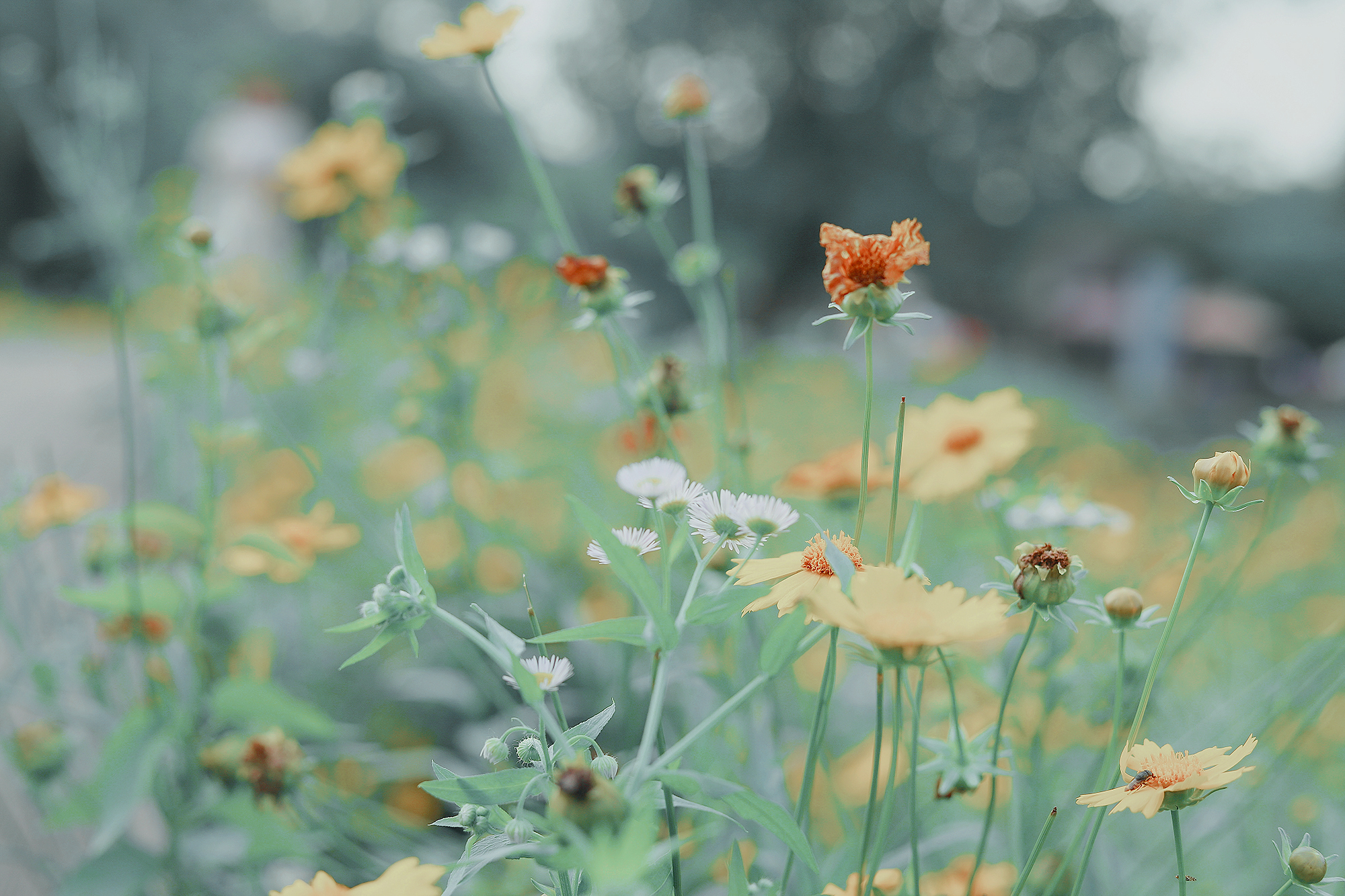 沐年姝的个人主页（封面预览） - 主页封面设置 - 站酷设计师沐年姝原创素材 - 站酷ZCOOL