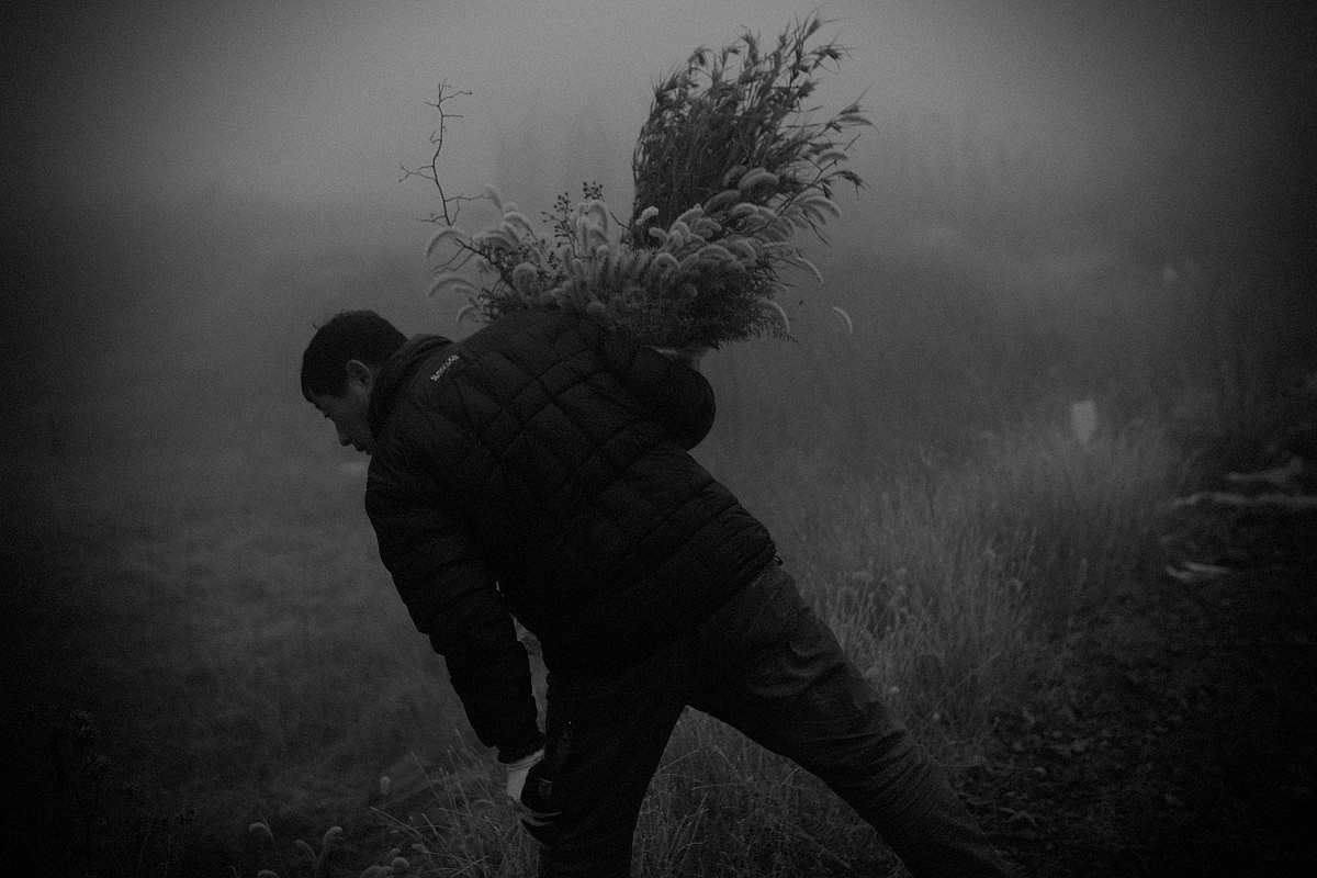 莫言作品中的东北乡