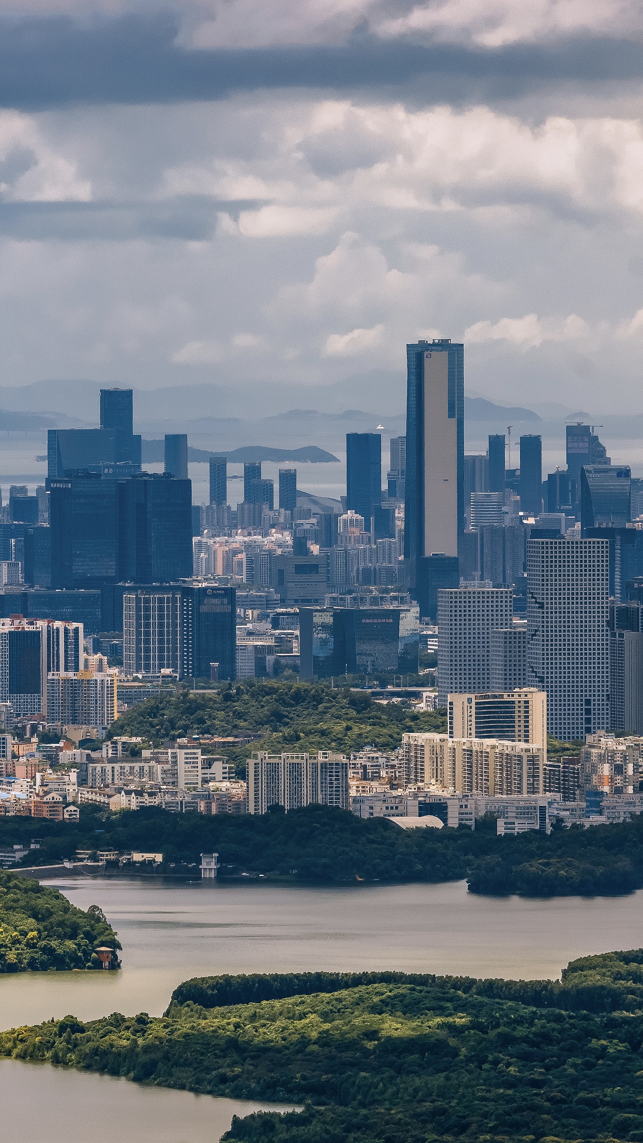 深圳湾全景纪实