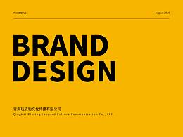 青海玩皮豹文化传播品牌LOGO&IP形象&IP延展