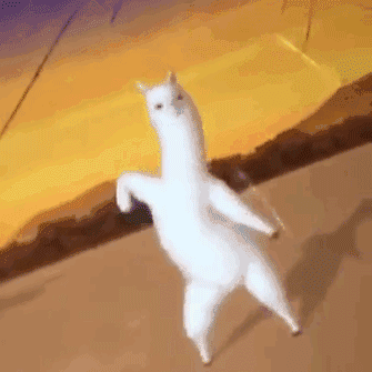 2019游戏投放视频八