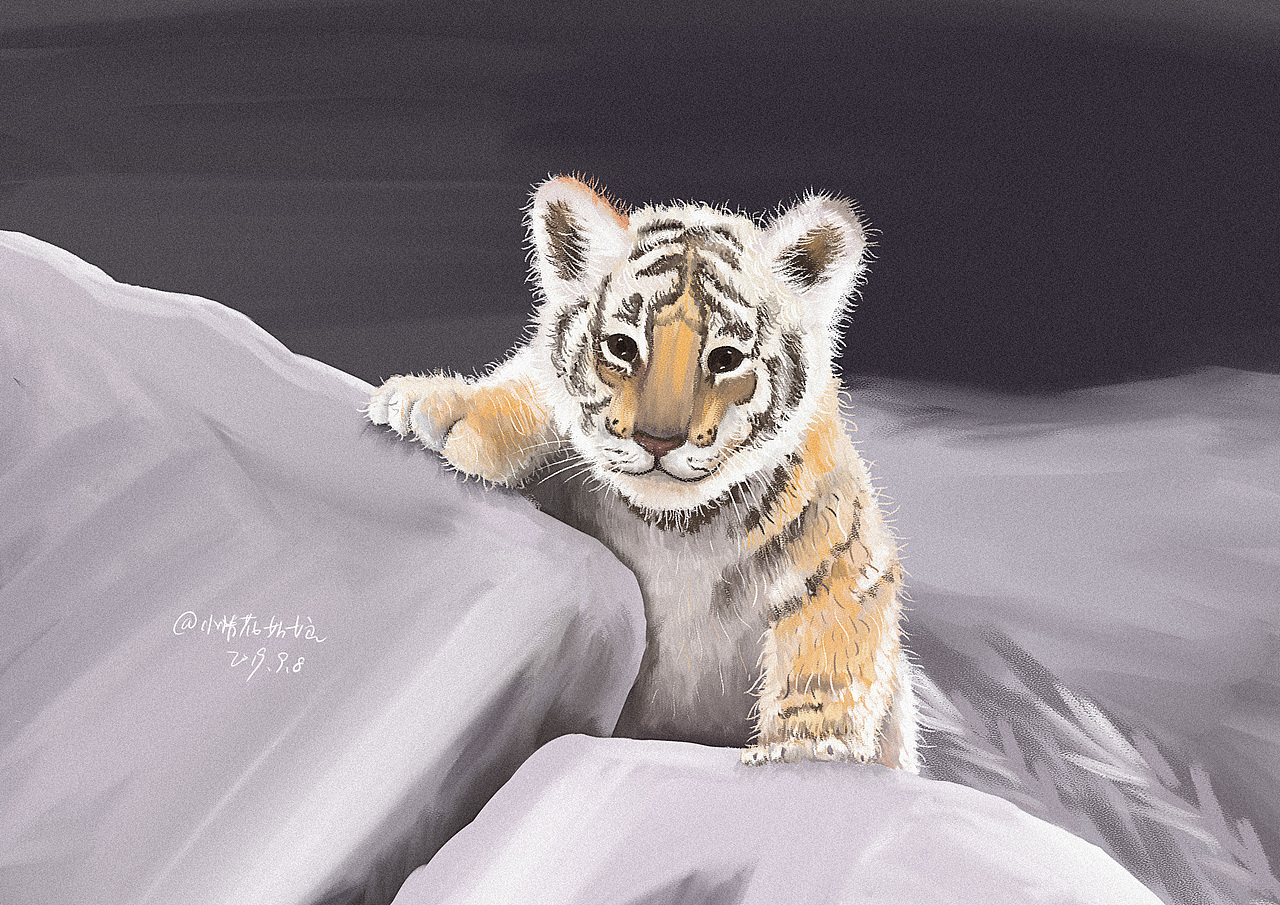 2019年手绘（整理30张）（图ZMTk5MDg4MDU2） - 艺术插画 - 站酷设计师Pandalay原创素材 - 站酷ZCOOL