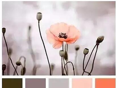 色彩的搭配决定作品的好坏