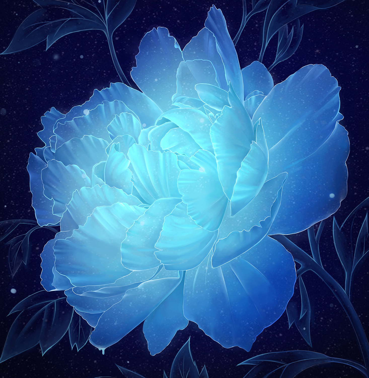 黄昏下的玫瑰花 - 摄友摄色 - 华声论坛
