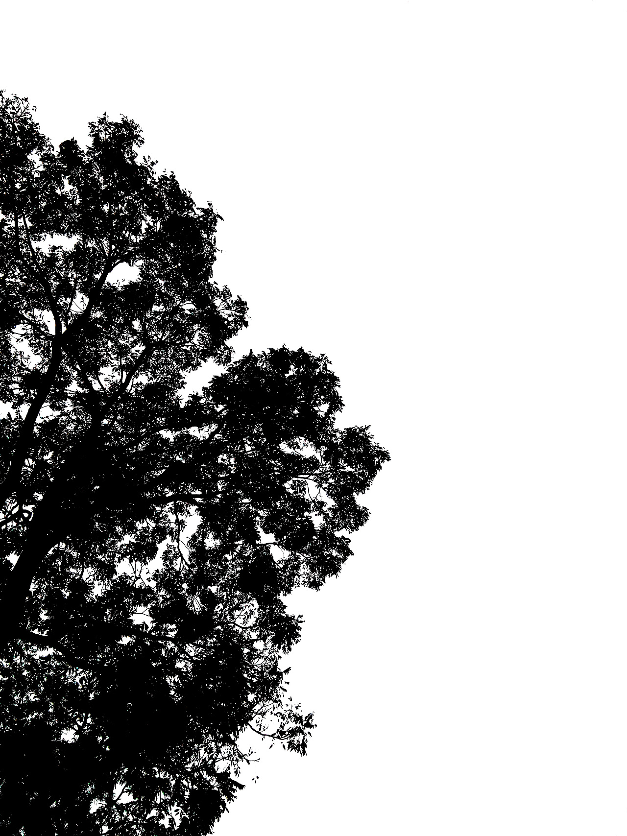 PS黑白树素材图片素材-编号08756904-图行天下