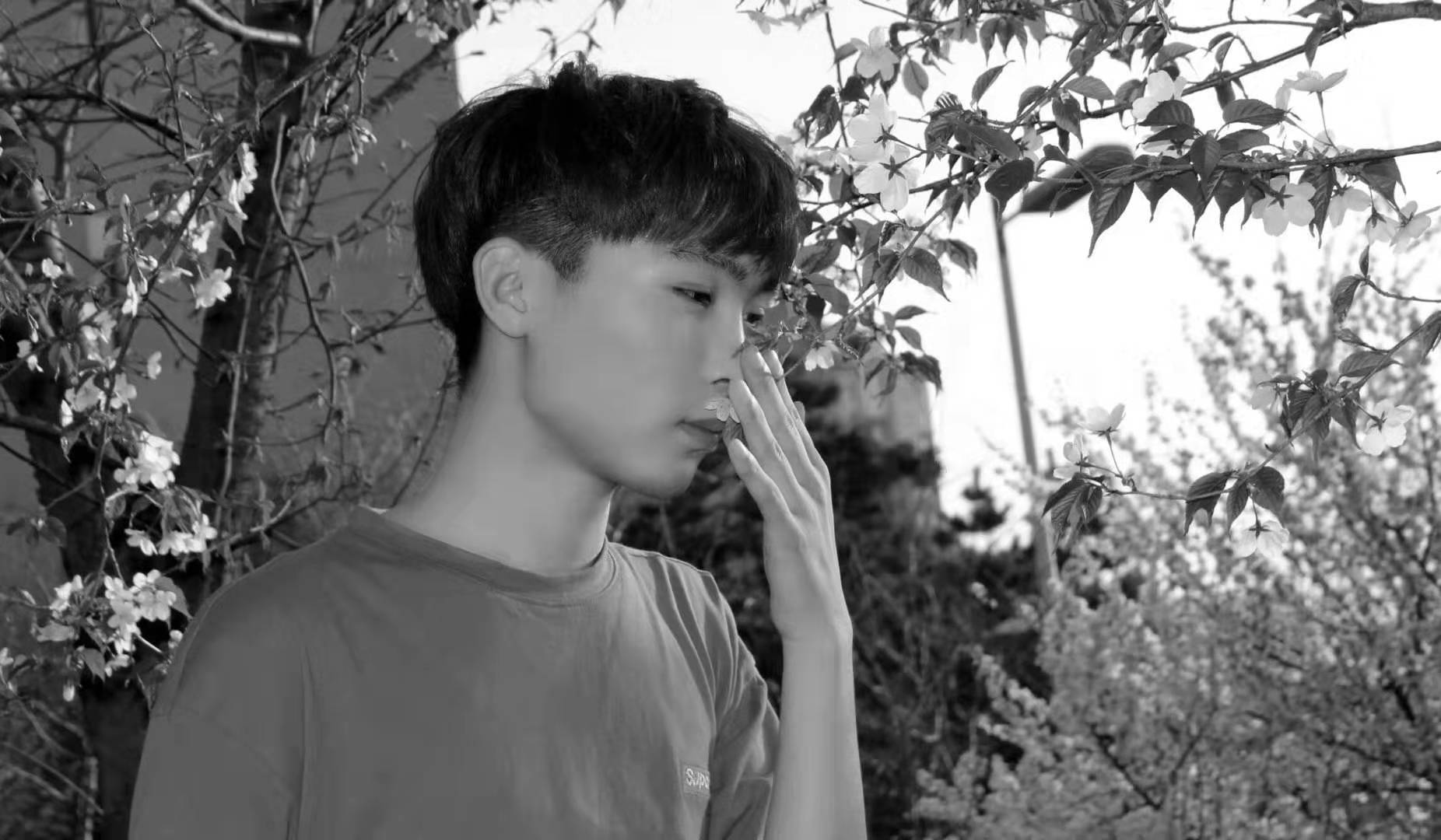 山貓家族的個人主頁（封面預(yù)覽） - 主頁封面設(shè)置 - 站酷設(shè)計師山貓家族原創(chuàng)素材 - 站酷ZCOOL