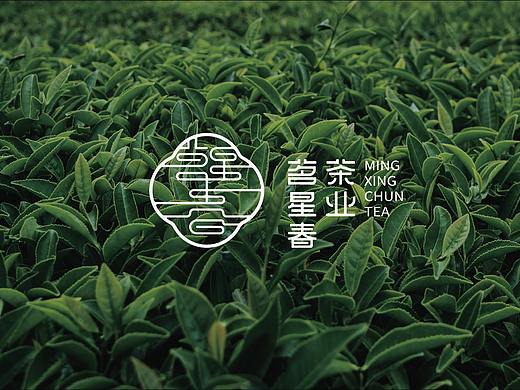 茗星春茶业品牌形象设计