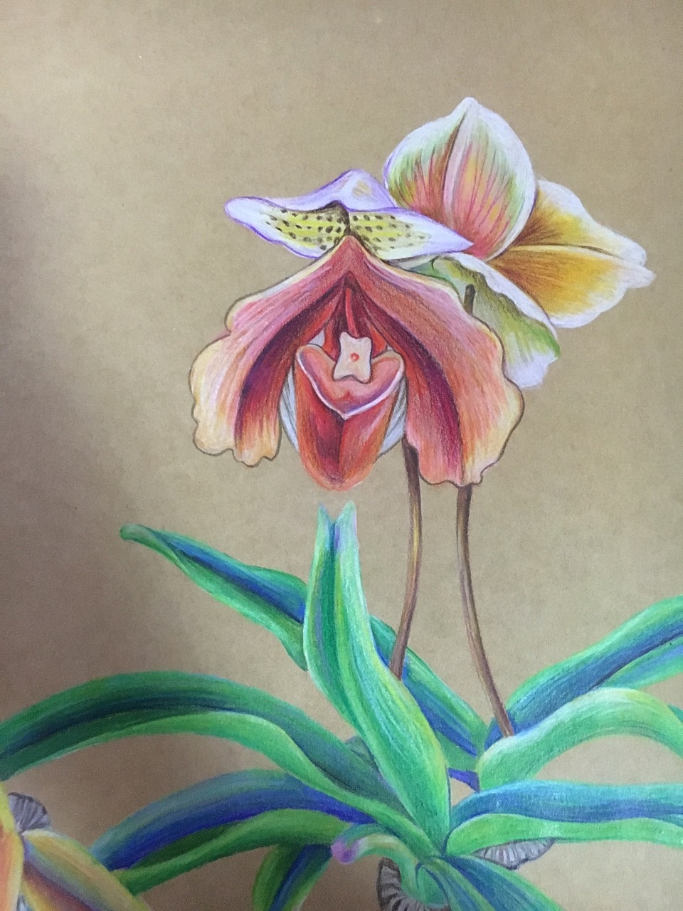 彩铅（图ZMTY0ODg0ODMy） - 绘画 - 站酷设计师Z88464820原创素材 - 站酷ZCOOL