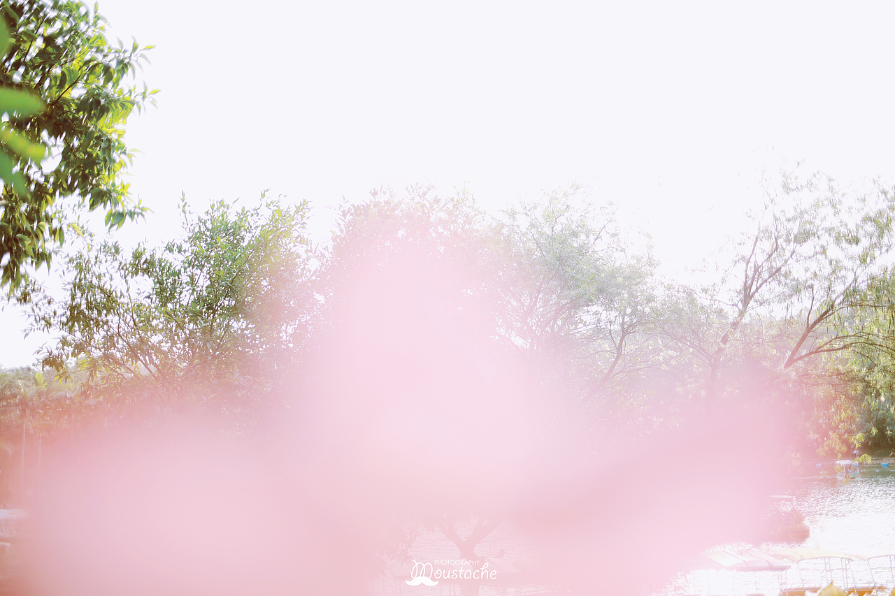 白色小提琴（图ZMjIyMzk4MjQw） - 人像摄影 - 站酷设计师胡纸先森原创素材 - 站酷ZCOOL