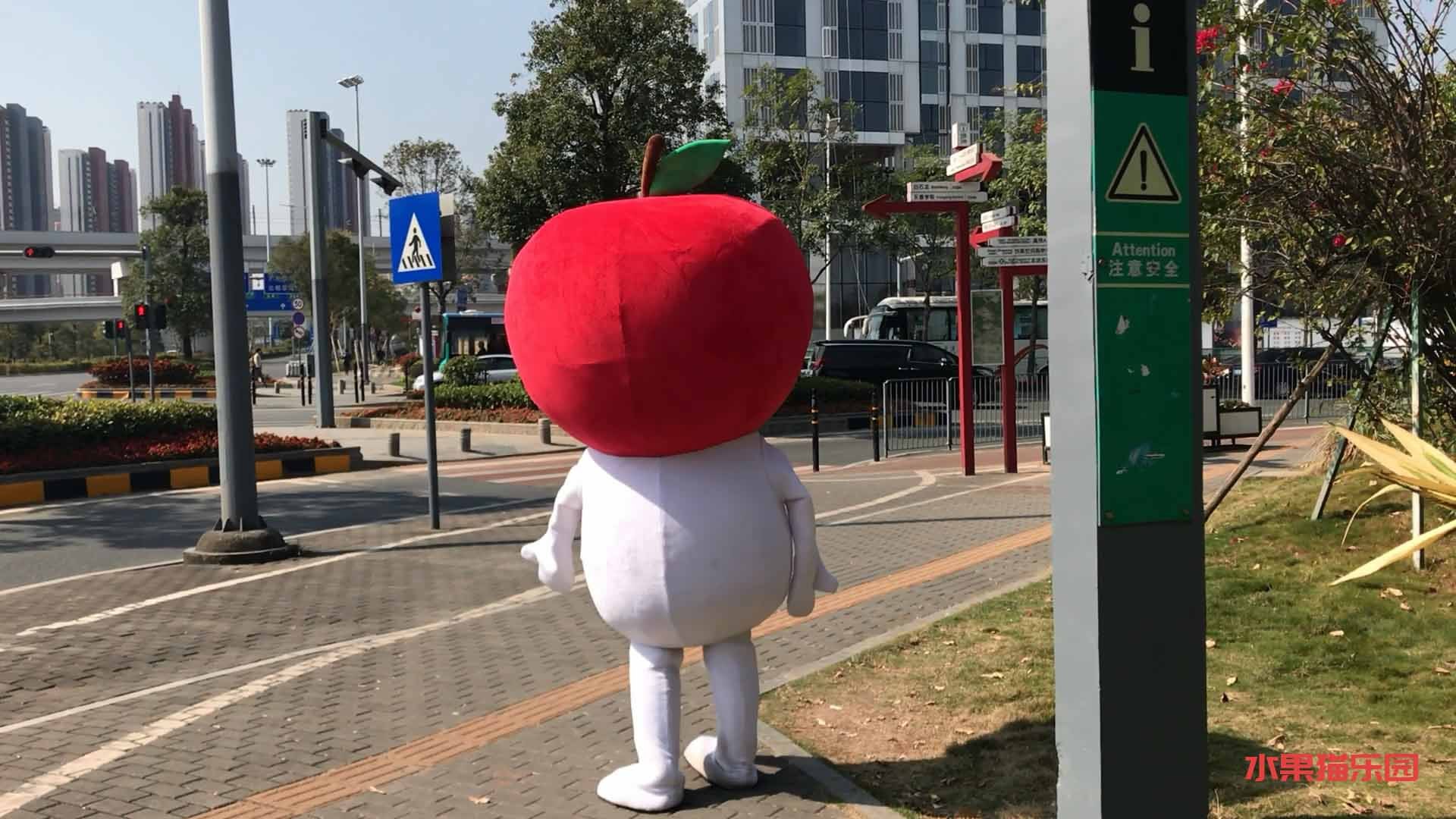 苹果猫人偶--在公园里疯