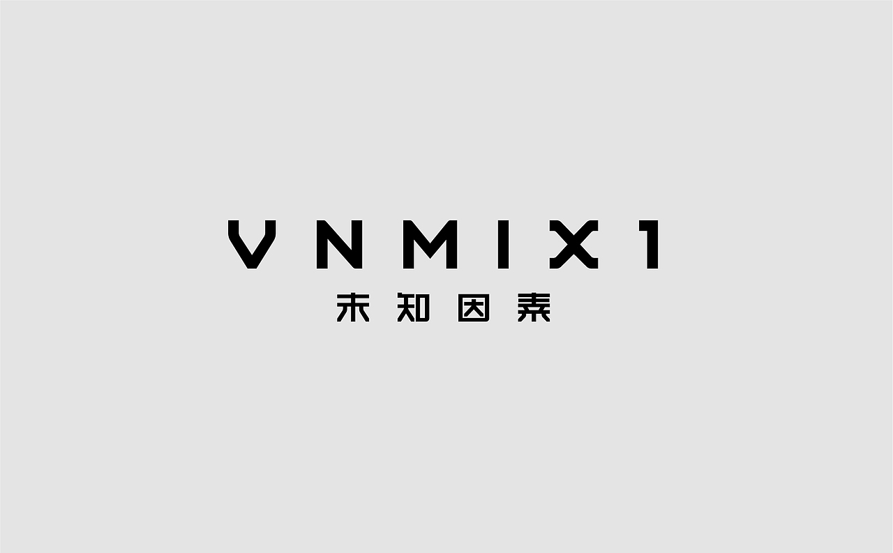 VNMIX1｜未知因素品牌设计