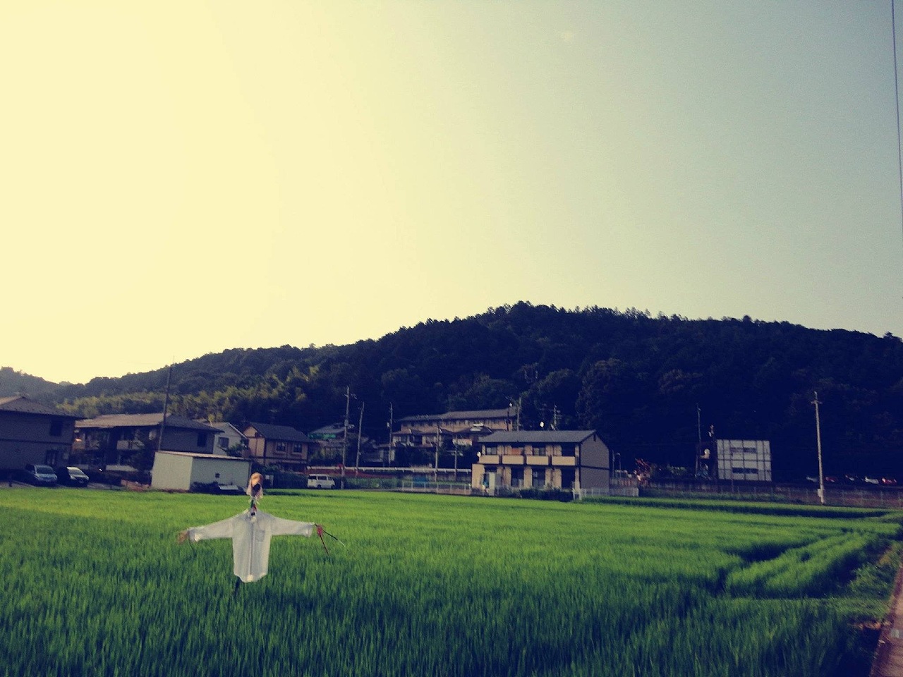 那边山就是宿舍......