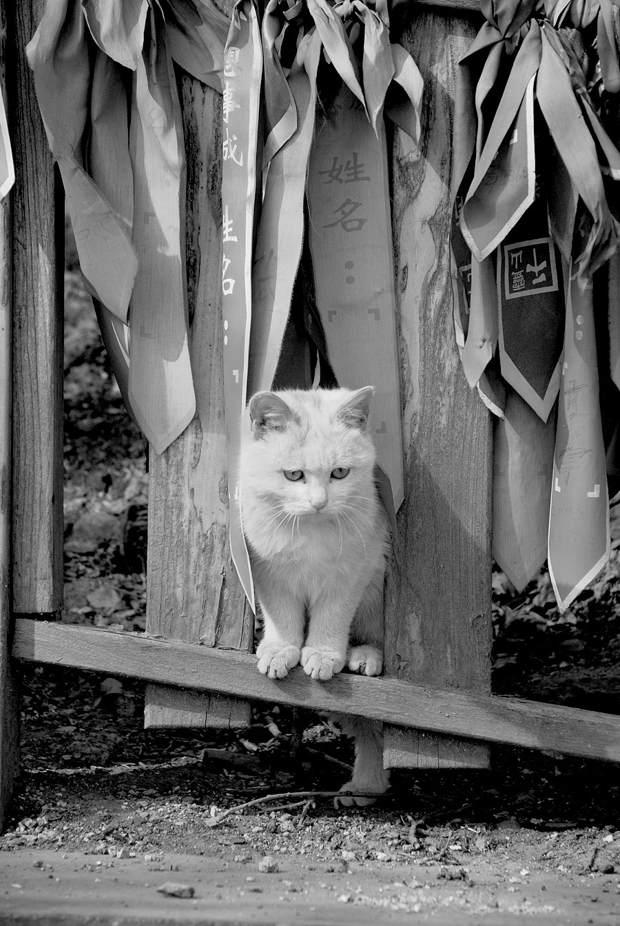 千灵山一日游（图ZMjUzMTMxOTY=） - 人文/纪实摄影 - 站酷设计师dryg888原创素材 - 站酷ZCOOL