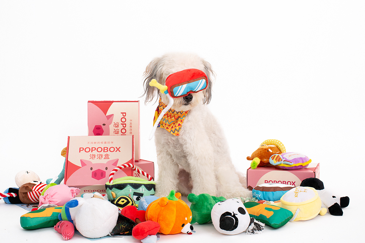 宠物玩具组合套装(多色多款可选)狗玩具批发-阿里巴巴