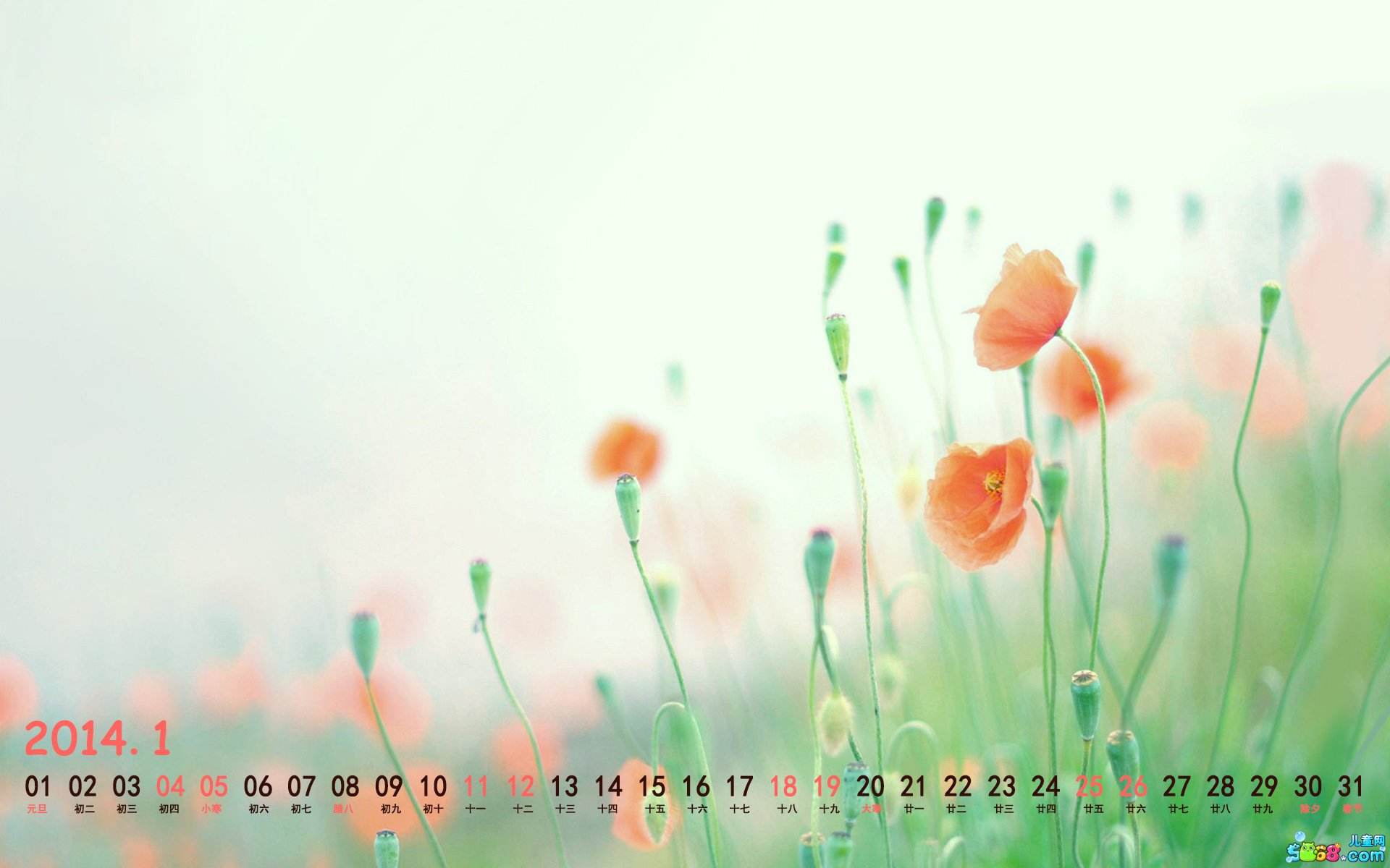 默墨染的个人主页（封面预览） - 主页封面设置 - 站酷设计师默墨染原创素材 - 站酷ZCOOL