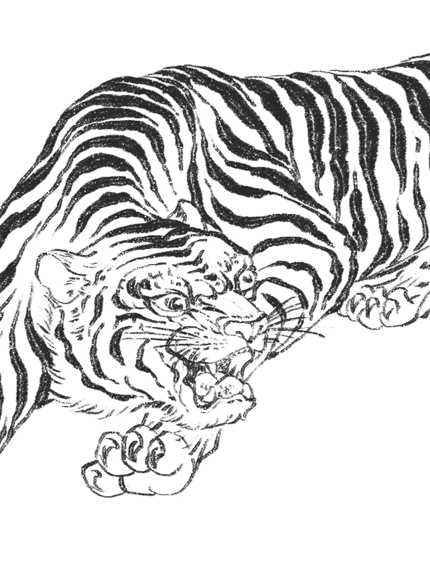 🔥 [44+] Black and White Tiger Wallpaper | WallpaperSafari