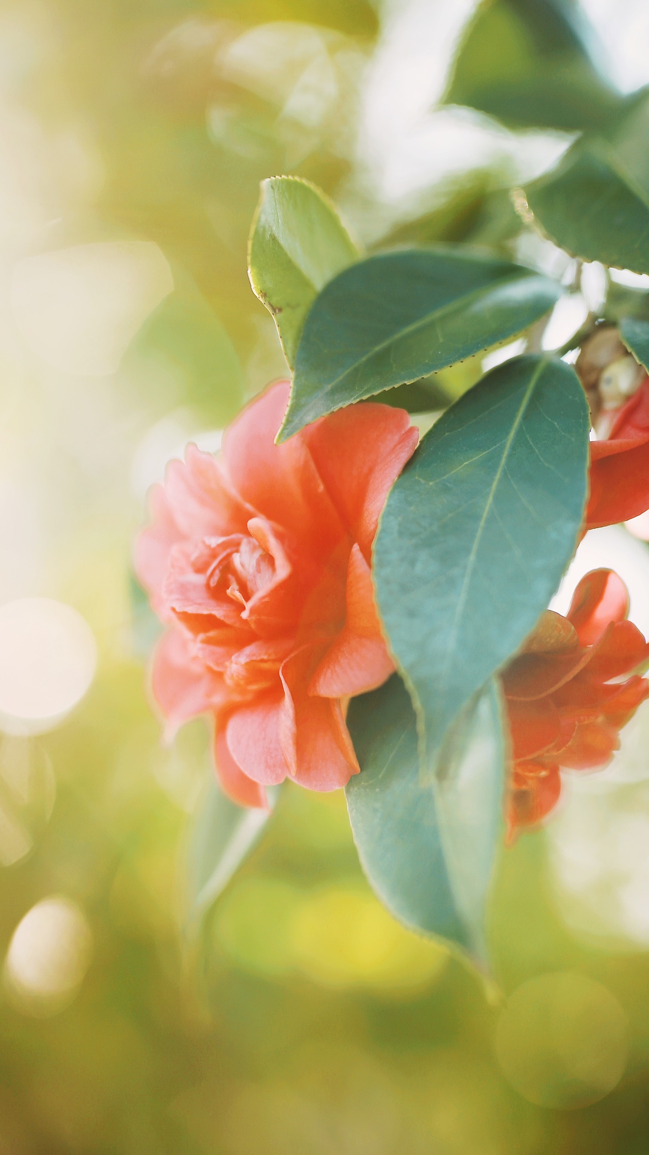 早春的痕跡??（圖ZMjQzOTg0NDY0） - 風(fēng)光攝影 - 站酷設(shè)計(jì)師Z自由女神原創(chuàng)素材 - 站酷ZCOOL