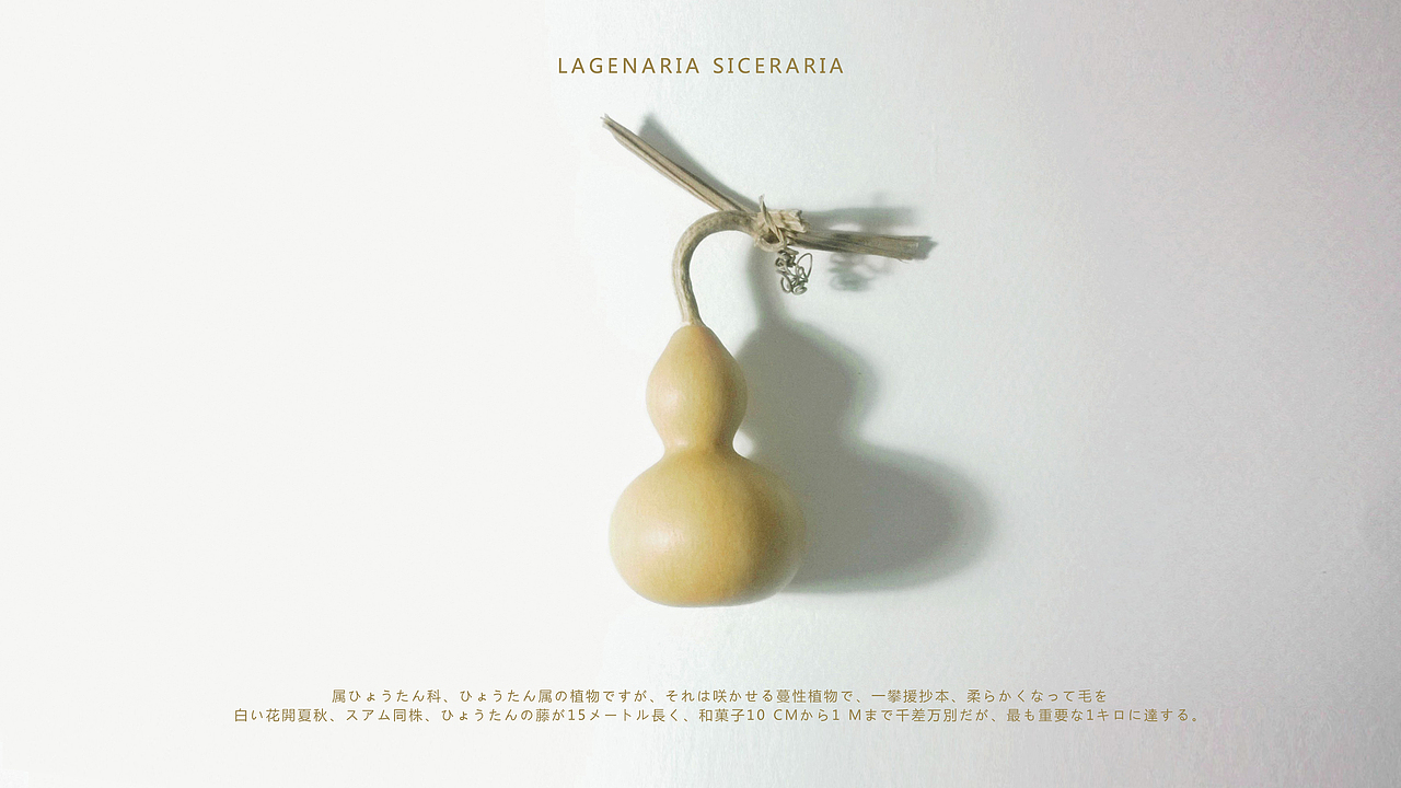 世界很美（图ZMjQwODQ5MDQ=） - 产品摄影 - 站酷设计师Langdon蘭登丶原创素材 - 站酷ZCOOL