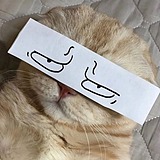 一叮YD的头像