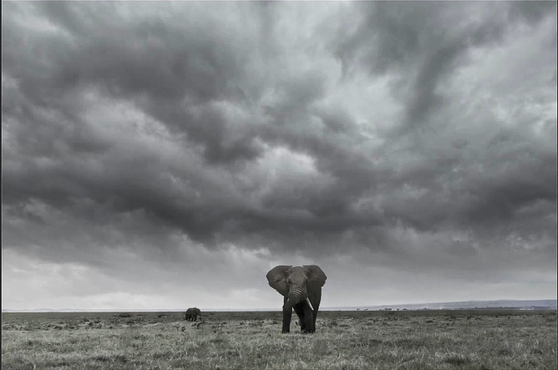 后期强天空大师一键无痕换天（图ZMTI1ODAyNjAw） - 人文/纪实摄影 - 站酷设计师后期强原创素材 - 站酷ZCOOL