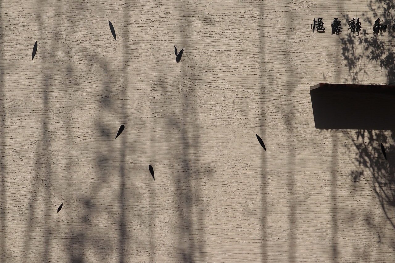 ENJOY LIFE ETERNITY（图ZMjc3NDE1NDgw） - 商业空间设计 - 站酷设计师落地为芷工艺社原创素材 - 站酷ZCOOL