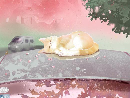 喵喵喵喵喵的随笔之作