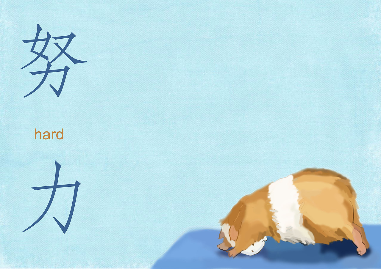 小仓鼠做瑜伽绘本改编（图ZNDkxMDIzNTY=） - 创作习作 - 站酷设计师summer5i原创素材 - 站酷ZCOOL