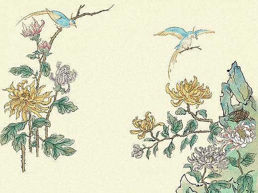 2018年碧桂园日课插画（官宣） 