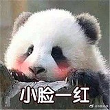 哆啦咪哆嘞咪的头像
