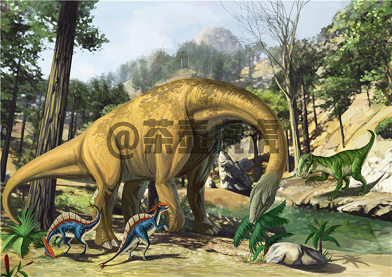 恐龙（图ZMTEyNjQ4MzY0） - 商业插画 - 站酷设计师茶茶茶虎原创素材 - 站酷ZCOOL