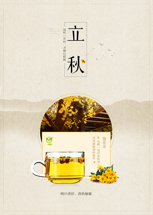 立秋之菊花茶（图ZOTAyOTg2NDg=） - 海报 - 站酷设计师温柔只给阿依慕原创素材 - 站酷ZCOOL