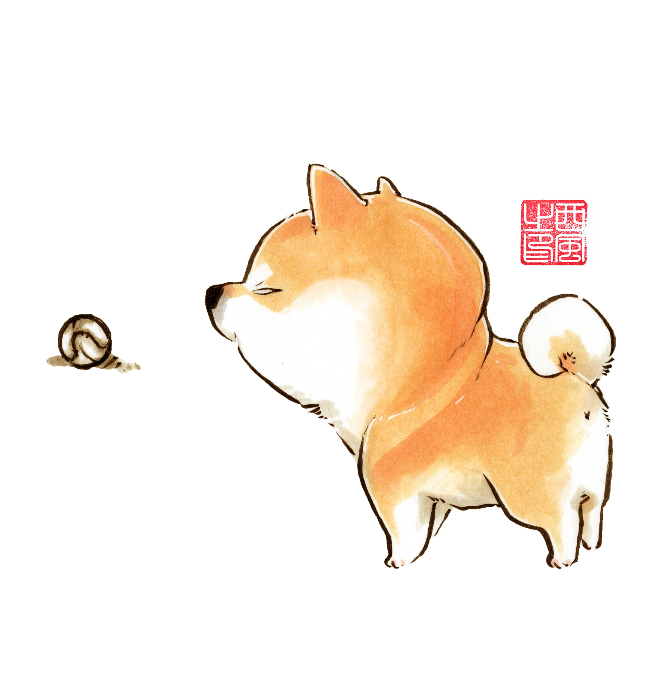 柴犬枸杞 冬季篇一