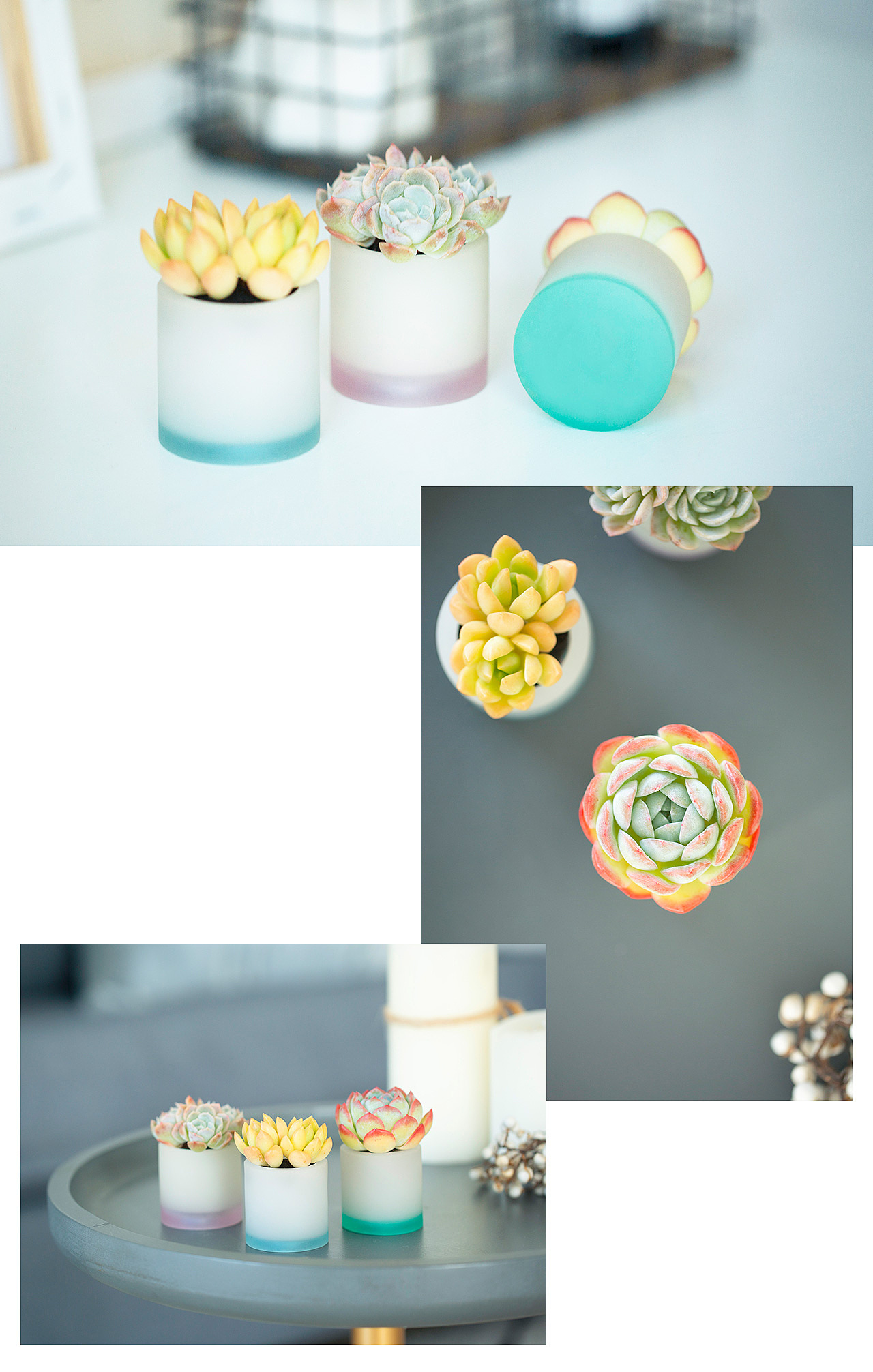 三款INS风家居无土栽培多肉植物-产品摄影（图ZMTMzNTk2Mzg0） - 产品摄影 - 站酷设计师Pazza大安原创素材 - 站酷ZCOOL